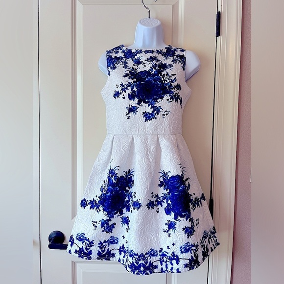 Dresses & Skirts - Blue White Porcelain Floral Damask Puff Dress
